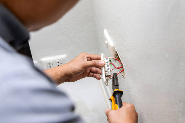 Best Electric Panel Repair  in Ama, LA
